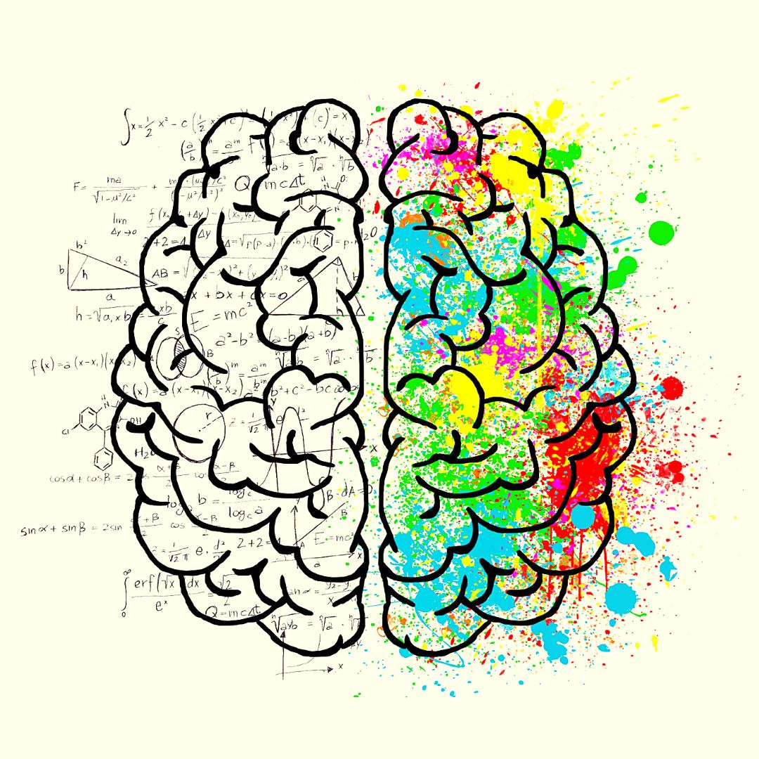 A brain split down the middle. The right side is patterned with colour paint splotches, while the left is in black and white with scientific-looking annotations.