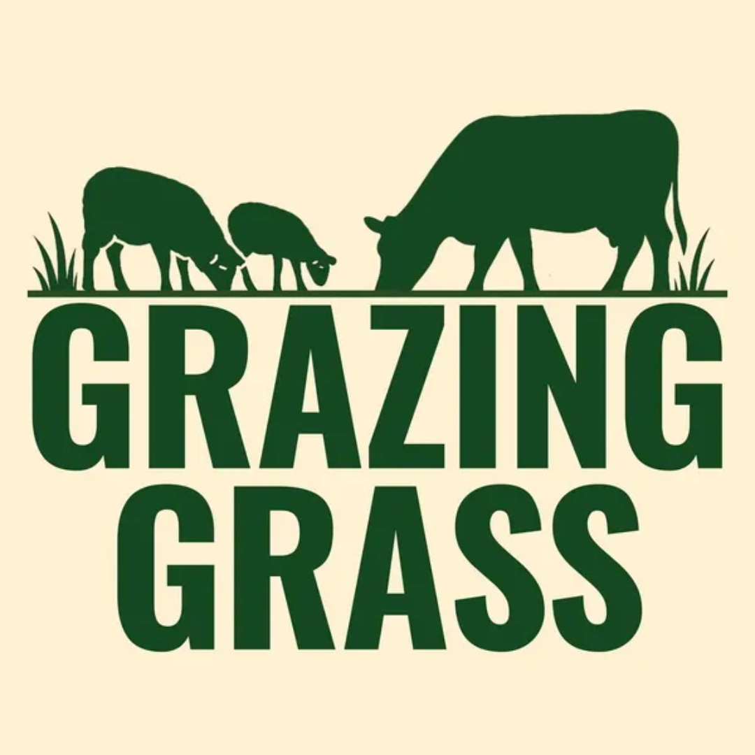 Silhouette of cows grazing and the words 'Grazing Grass'